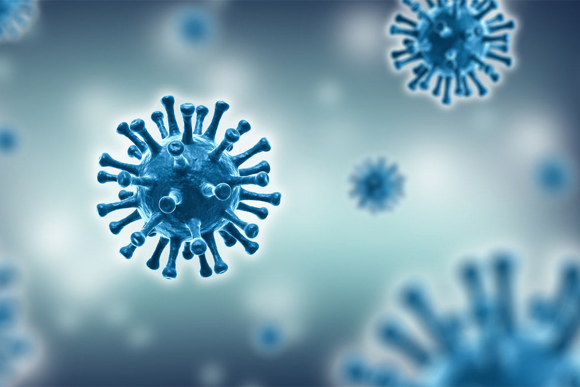 Norovirus Prevention - Protect Yourself from This Winter Bug using Cop